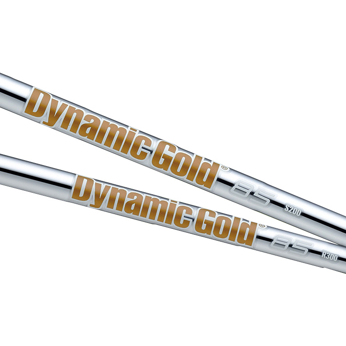 Dynamic Gold 85 Iron Shaft 5-PW ( 6pcs )